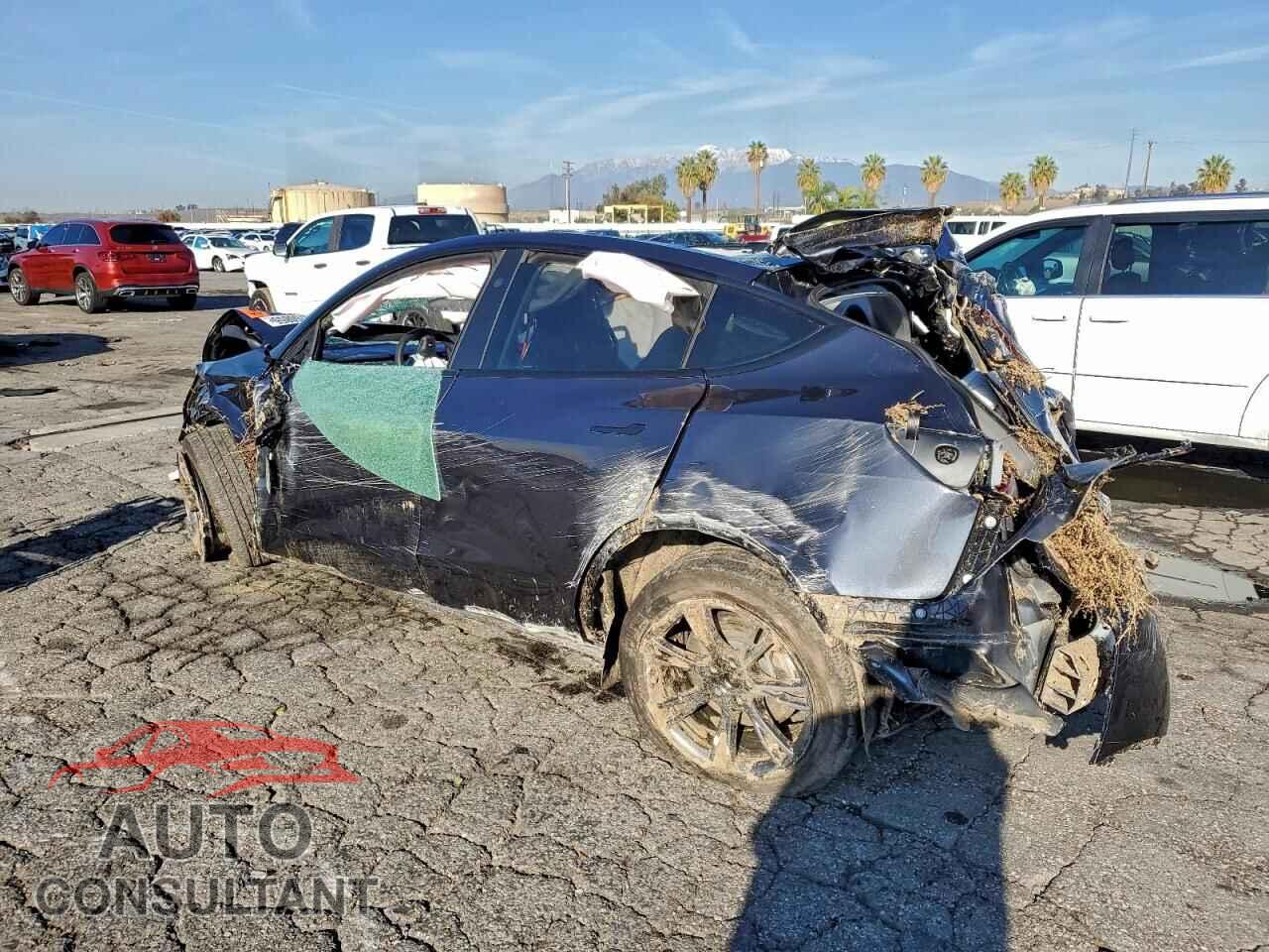 TESLA MODEL Y 2024 - 7SAYGDEE2RF132737