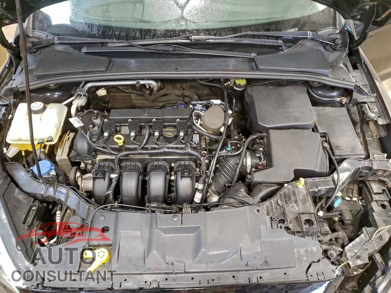 FORD FOCUS 2016 - 1FADP3K21GL380820