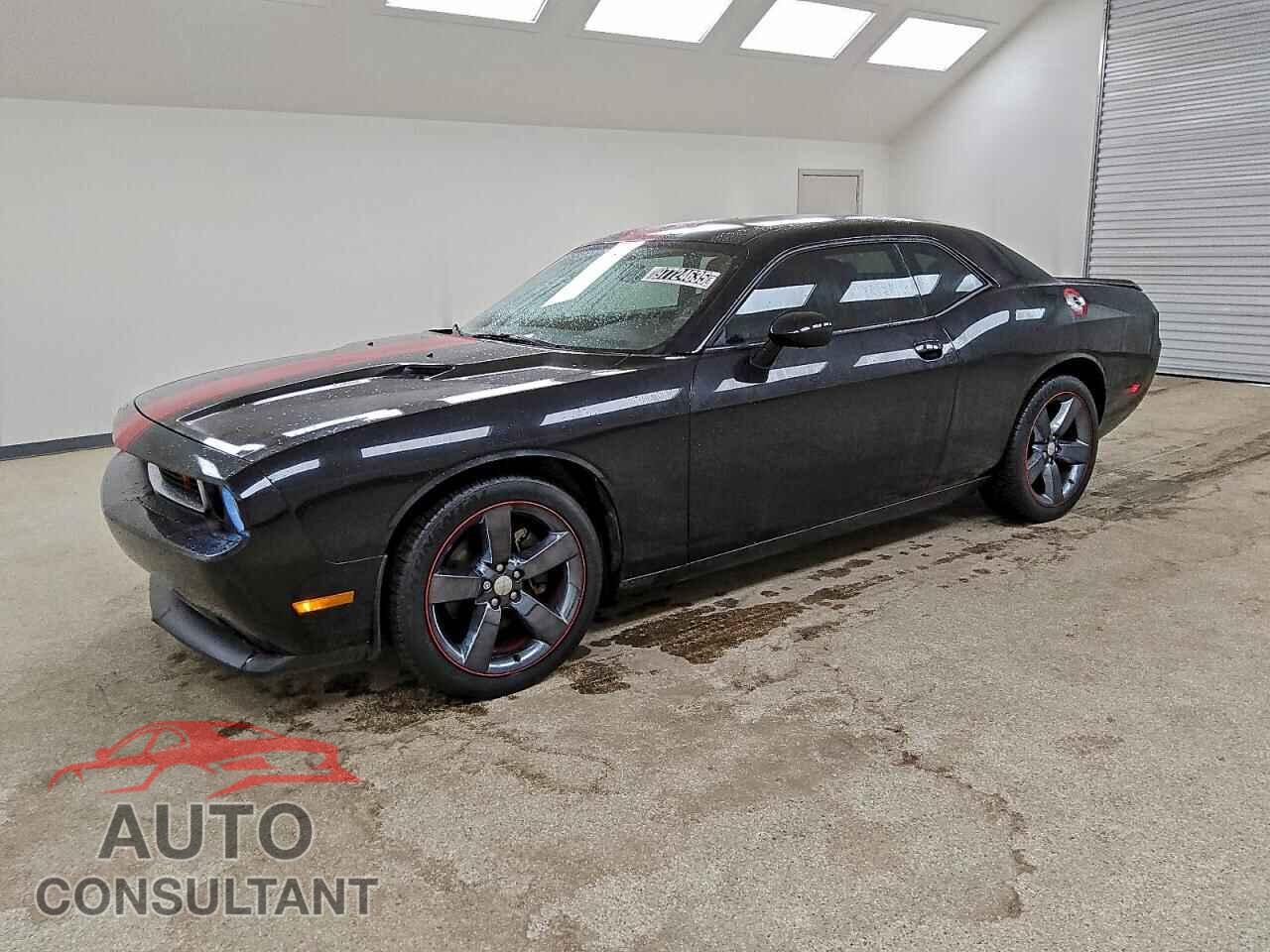 DODGE CHALLENGER 2013 - 2C3CDYAG3DH628992