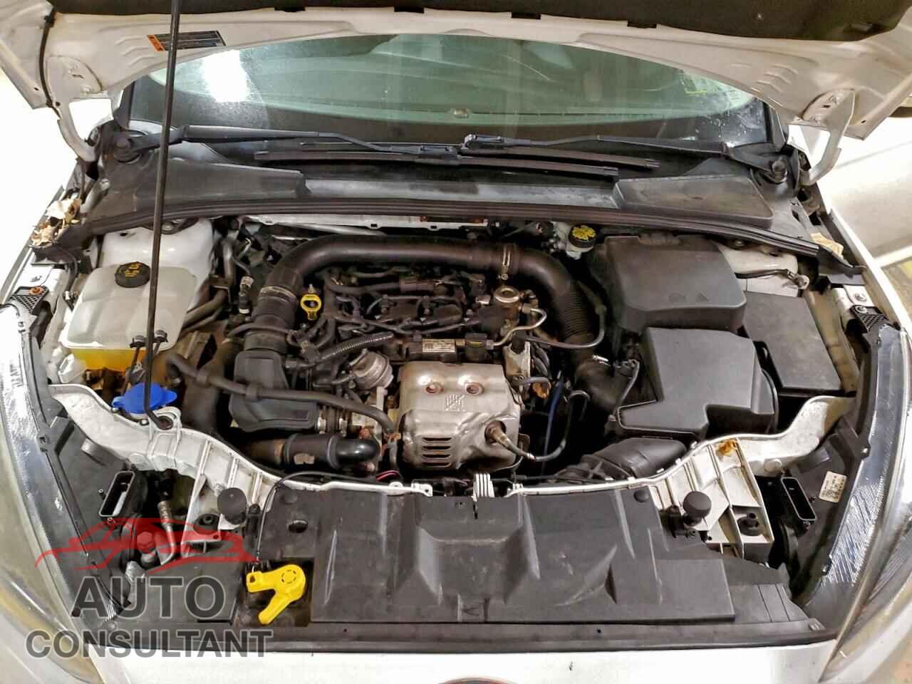 FORD FOCUS 2016 - 1FADP3FE6GL331231