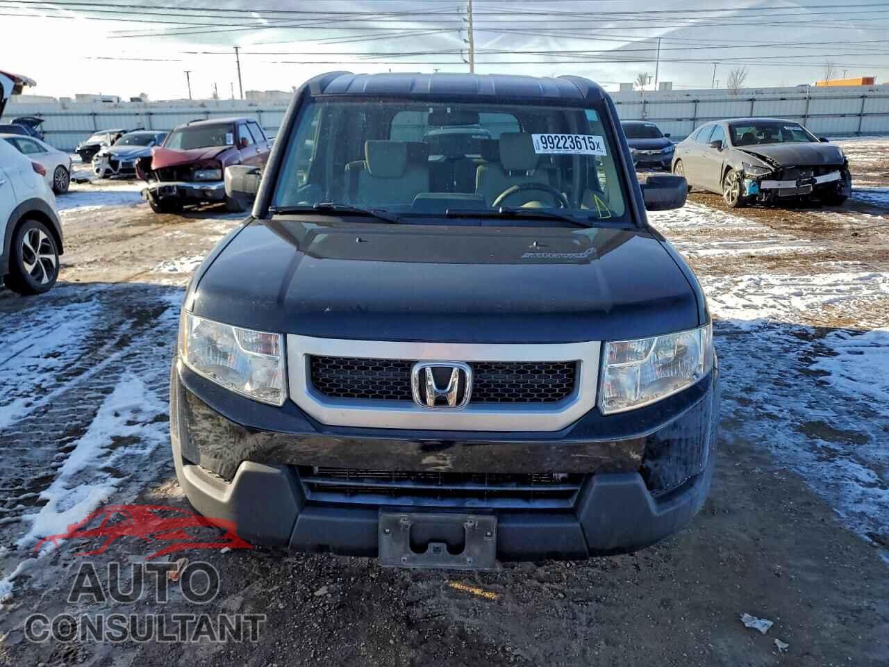 HONDA ELEMENT 2011 - 5J6YH2H75BL005909