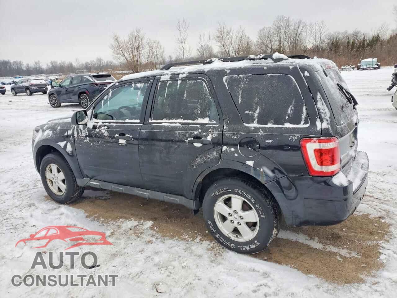 FORD ESCAPE 2010 - 1FMCU0D70AKD44129