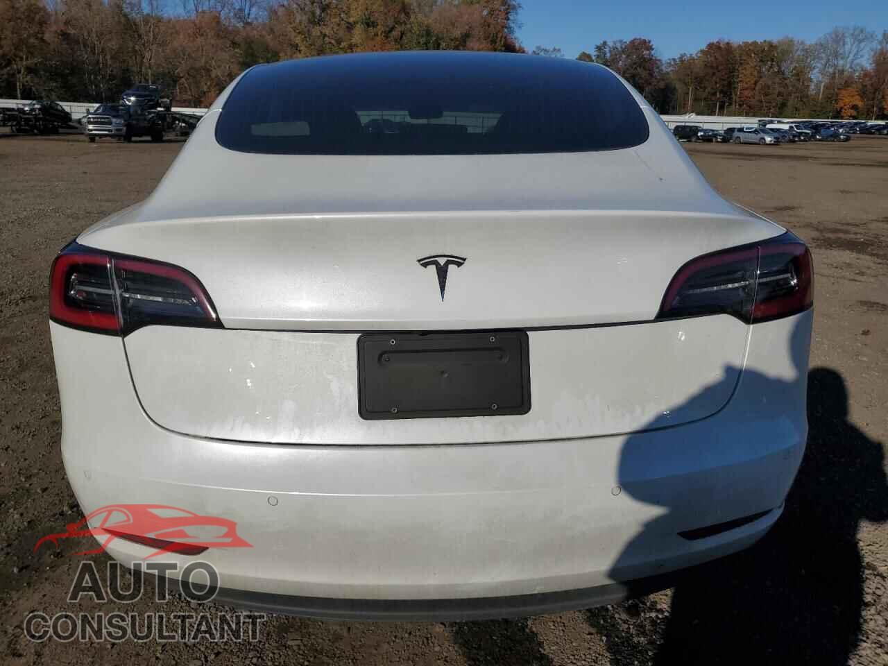 TESLA MODEL 3 2020 - 5YJ3E1EA8LF660539