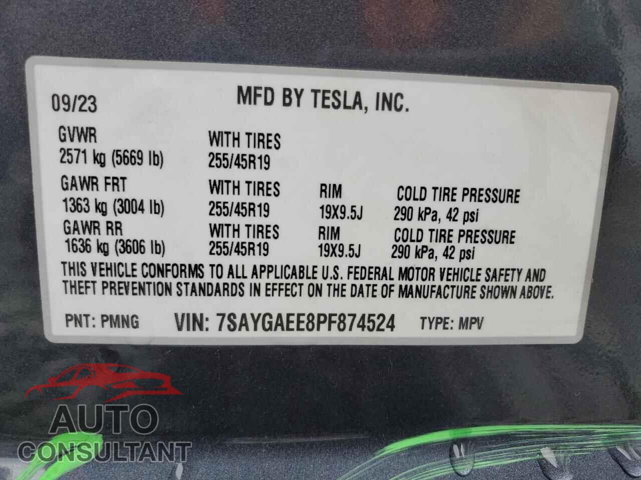 TESLA MODEL Y 2023 - 7SAYGAEE8PF874524