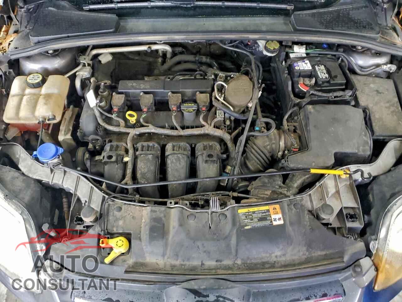 FORD FOCUS 2013 - 1FADP3F22DL258909