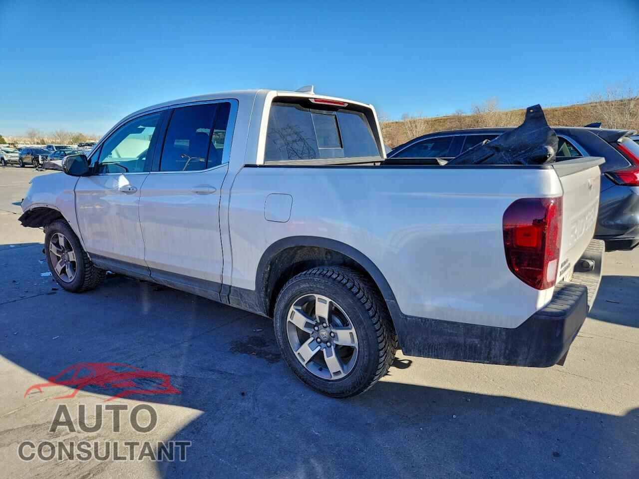 HONDA RIDGELINE 2024 - 5FPYK3F56RB005016