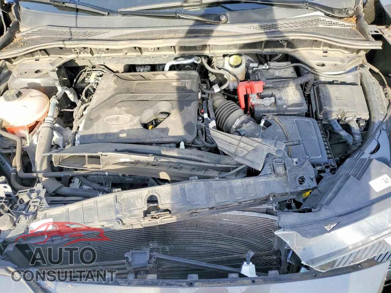 FORD ESCAPE 2020 - 1FMCU0F61LUA51108