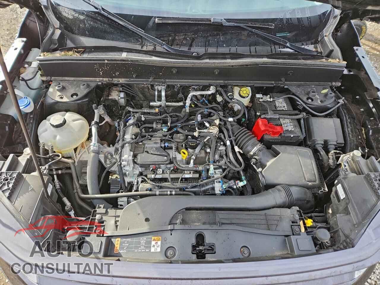 FORD BRONCO 2023 - 3FMCR9B65PRE33800