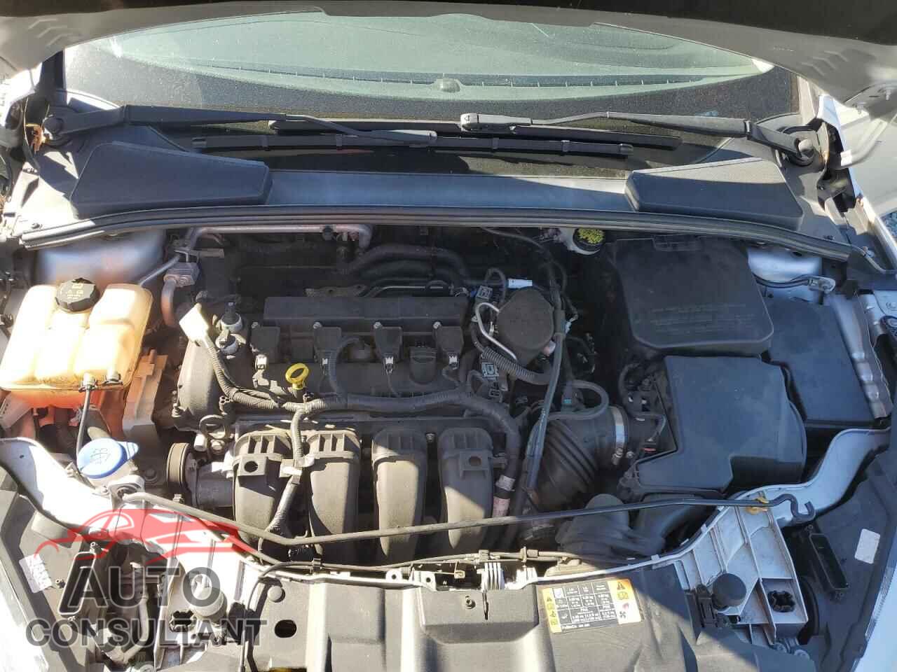 FORD FOCUS 2016 - 1FADP3F26GL312409