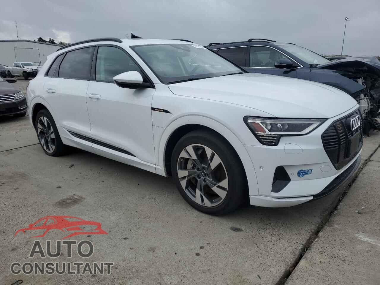 AUDI E-TRON 2021 - WA1AAAGE2MB010087