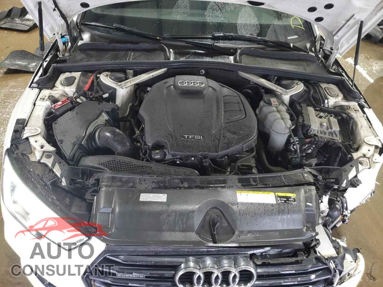 AUDI A4 2019 - WAUENAF44KN019726