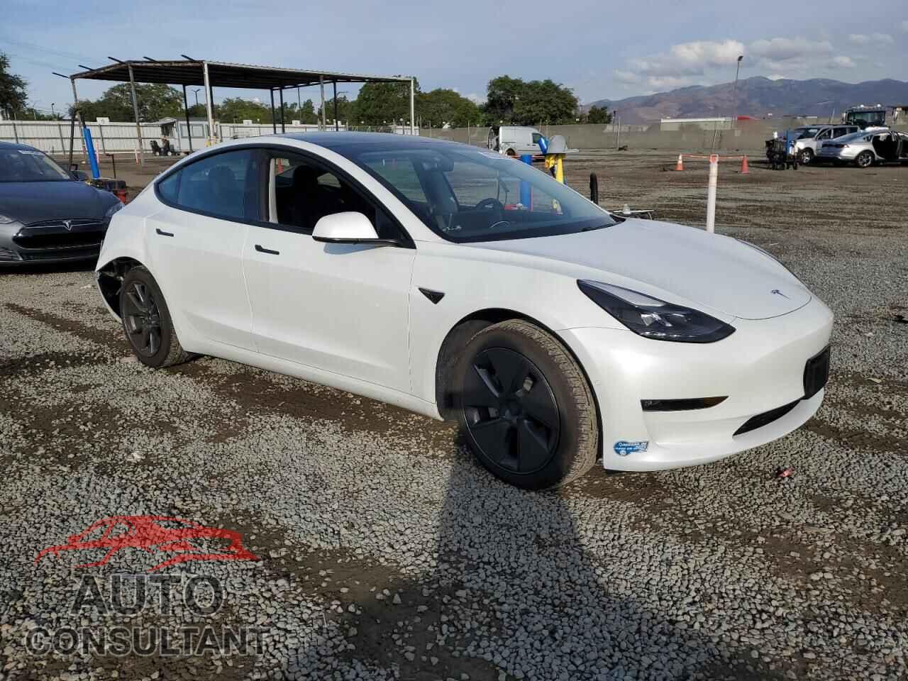 TESLA MODEL 3 2021 - 5YJ3E1EB3MF067486