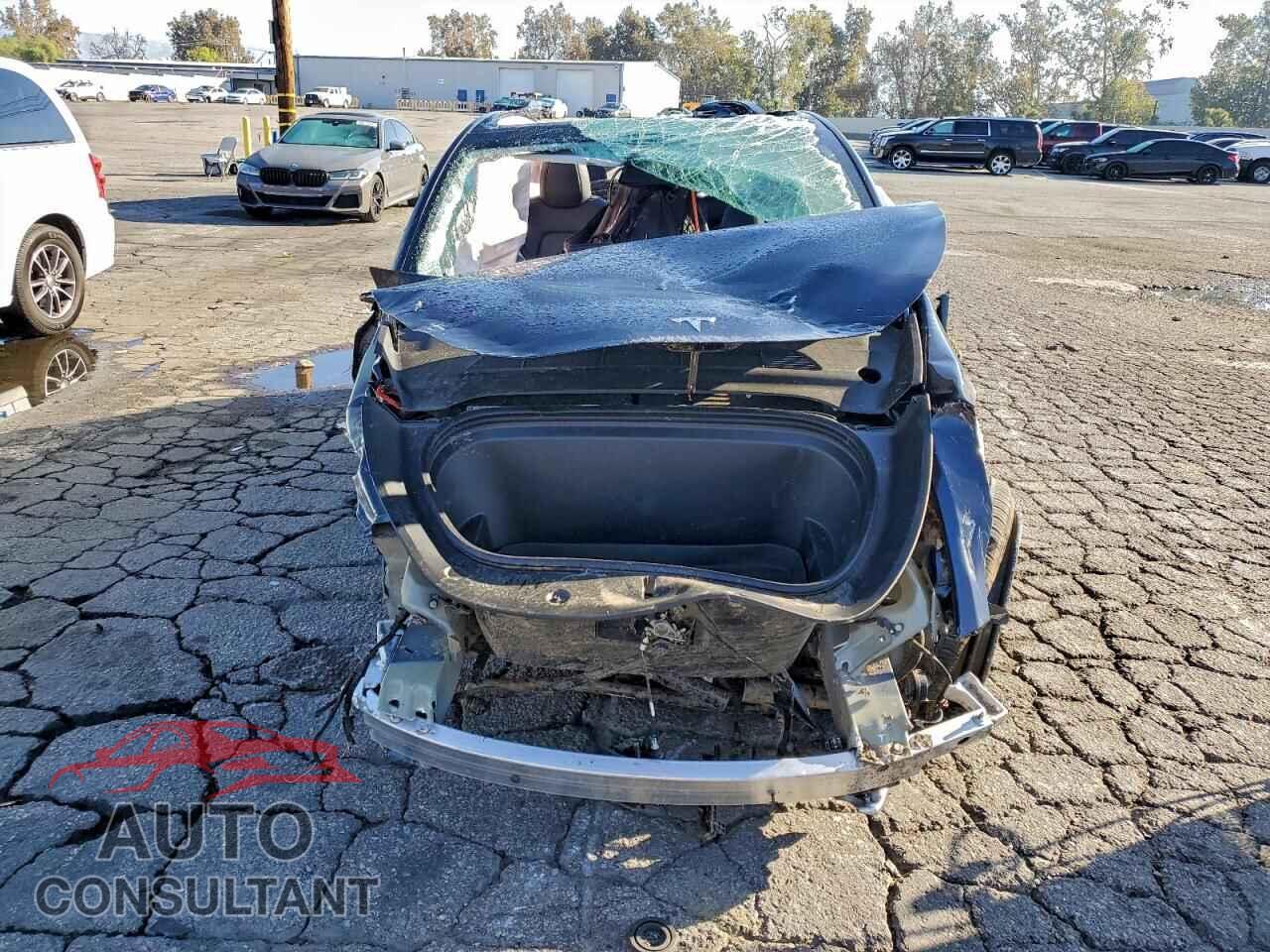 TESLA MODEL Y 2024 - 7SAYGDEE2RF132737