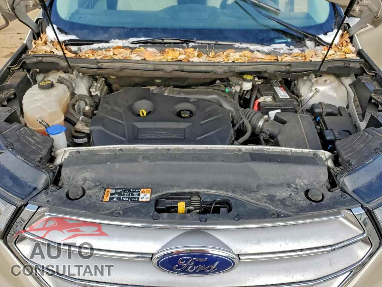 FORD EDGE 2017 - 2FMPK3K99HBB66772