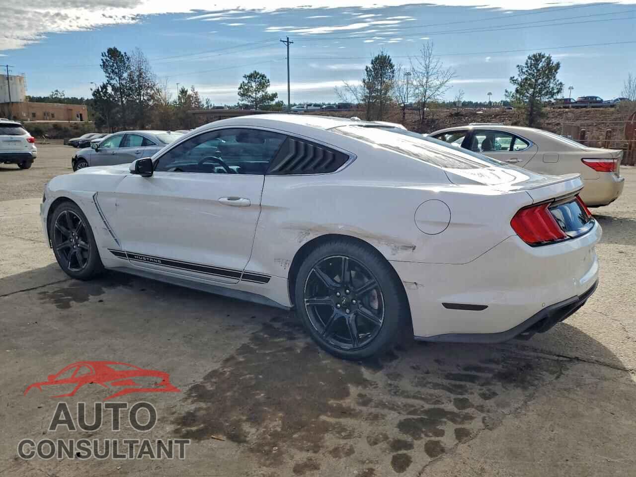FORD ALL Models 2019 - 1FA6P8TH5K5203774