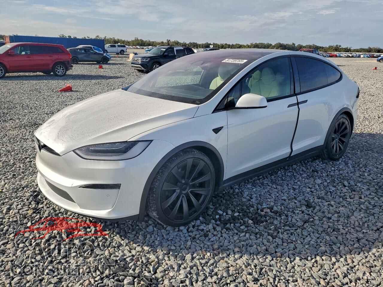 TESLA MODEL X 2023 - 7SAXCDE59PF369407