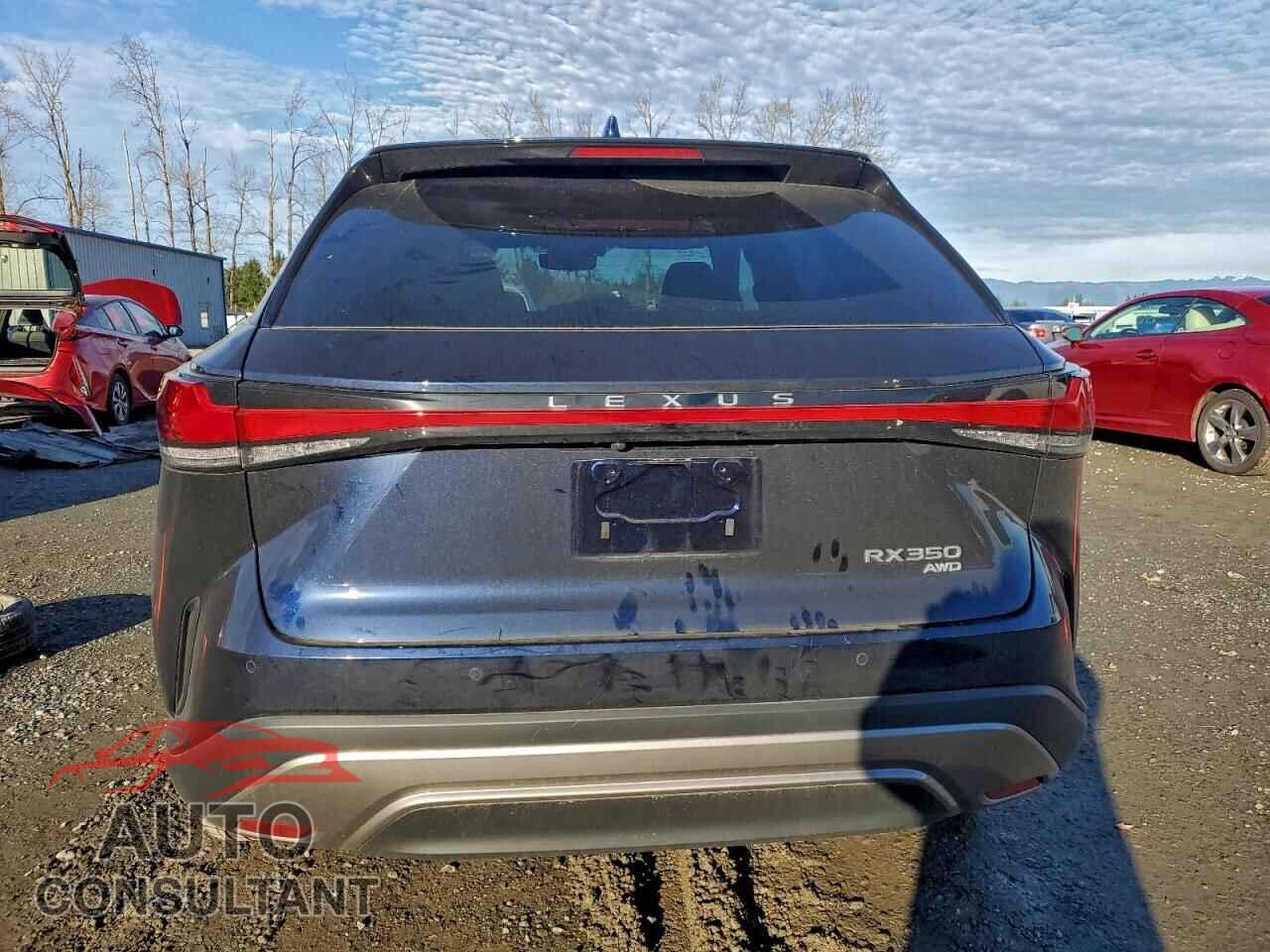 LEXUS RX350 2024 - 2T2BAMCA8RC085489
