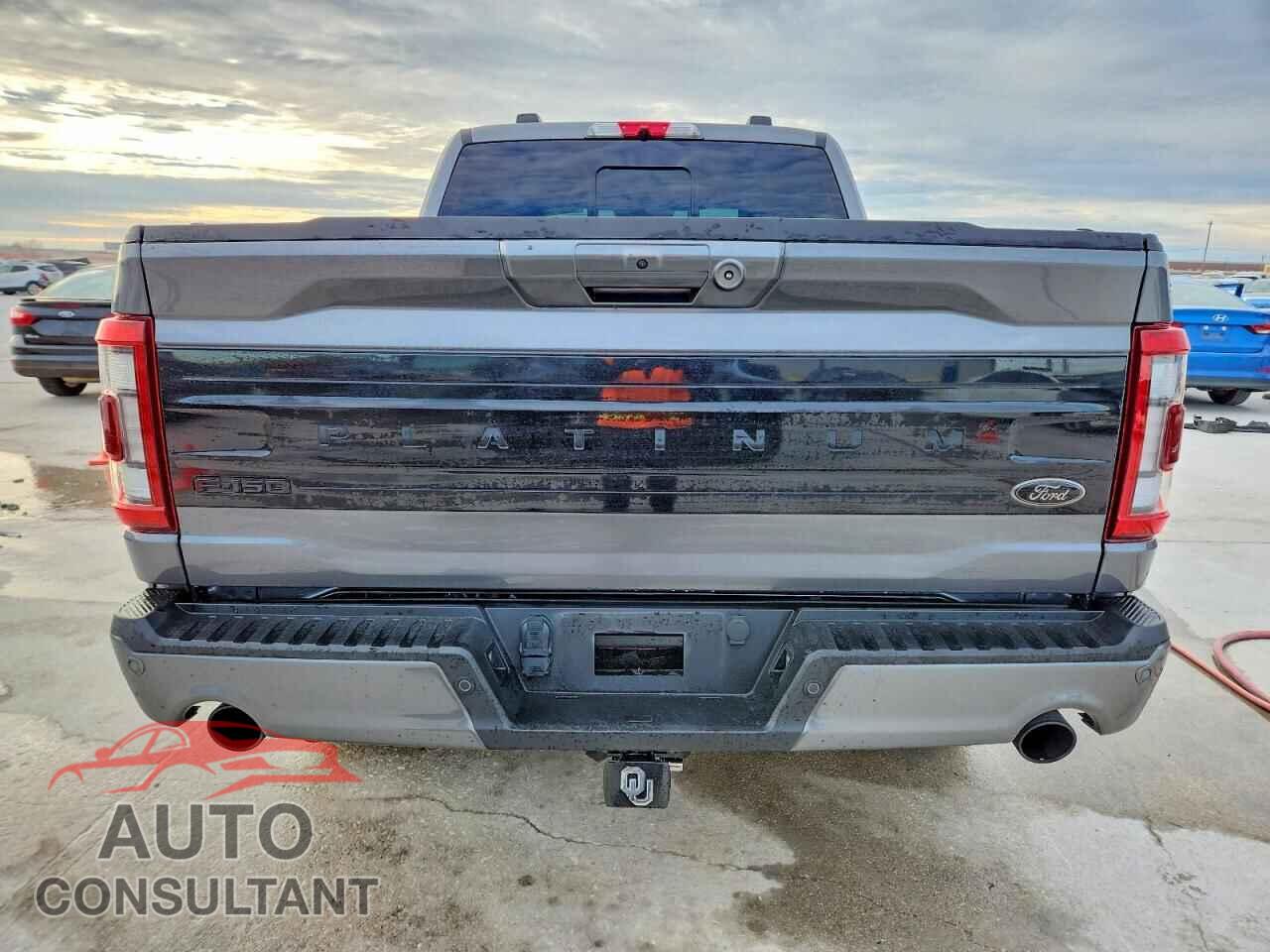 FORD F150 2023 - 1FTFW1ED3PFA00690