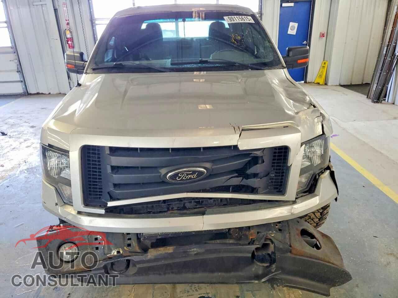 FORD F-150 2010 - 1FTFX1EV2AFB86378