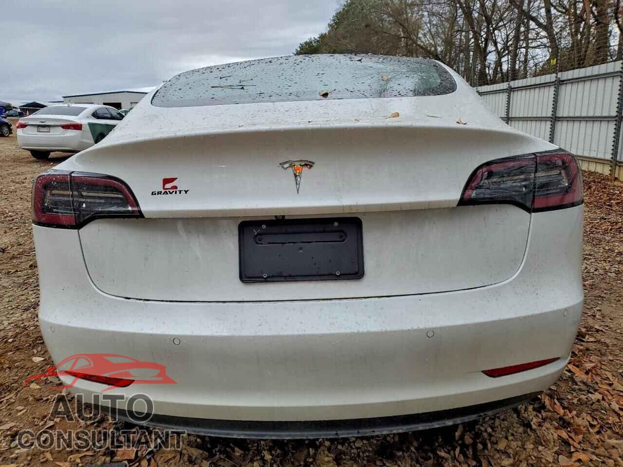 TESLA MODEL 3 2021 - 5YJ3E1EA6MF067246