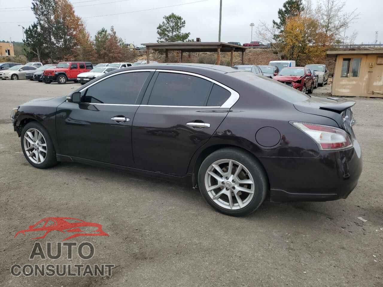 NISSAN MAXIMA 2013 - 1N4AA5AP8DC838765
