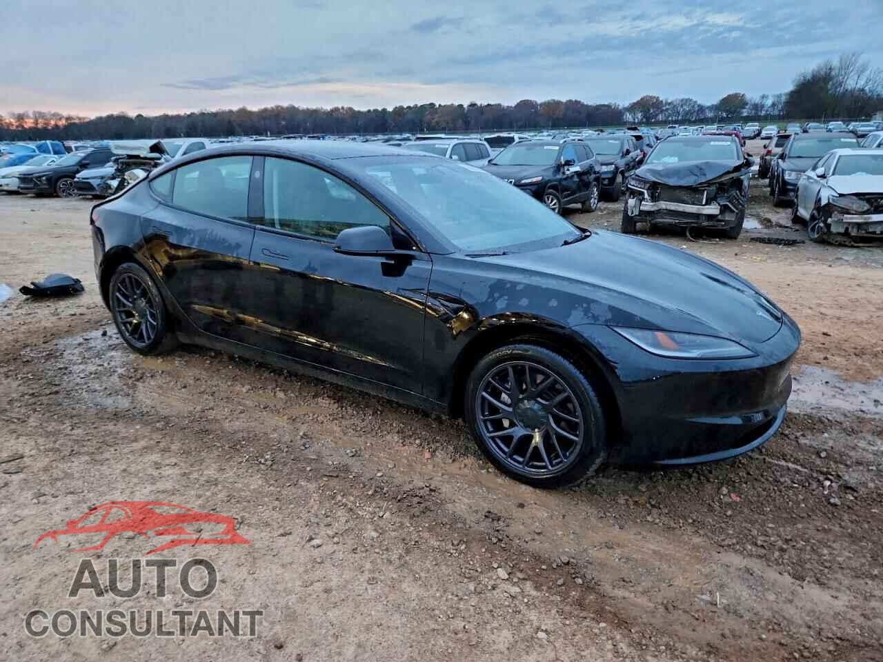 TESLA MODEL 3 2024 - 5YJ3E1EA4RF732832