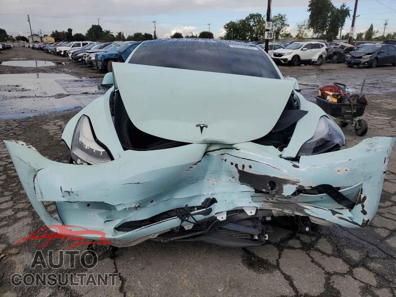 TESLA MODEL 3 2019 - 5YJ3E1EA4KF425151