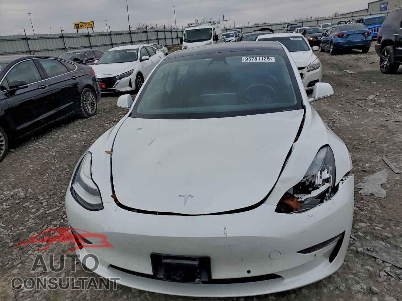 TESLA MODEL 3 2020 - 5YJ3E1EC9LF791805