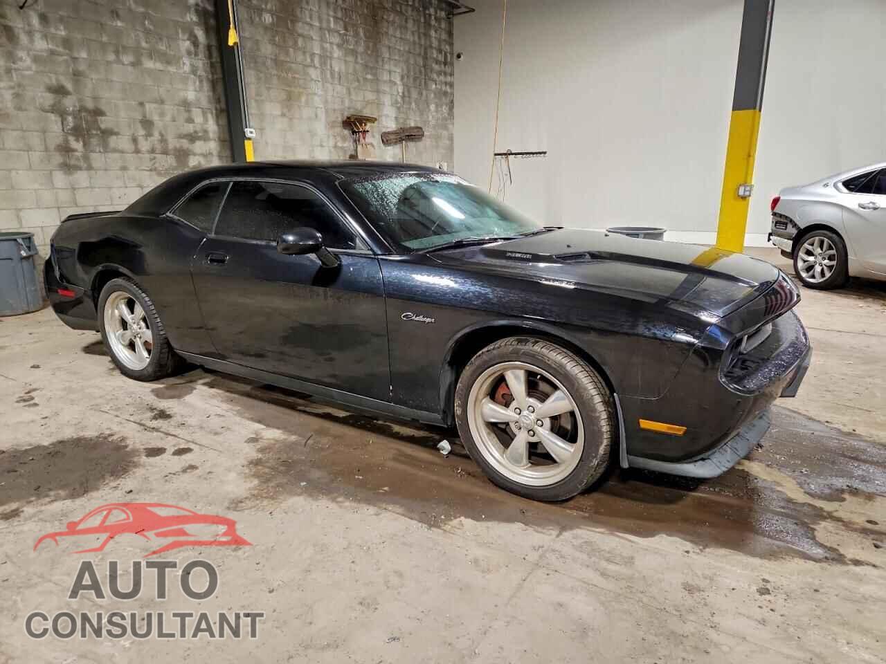 DODGE CHALLENGER 2010 - 2B3CJ5DT2AH146409