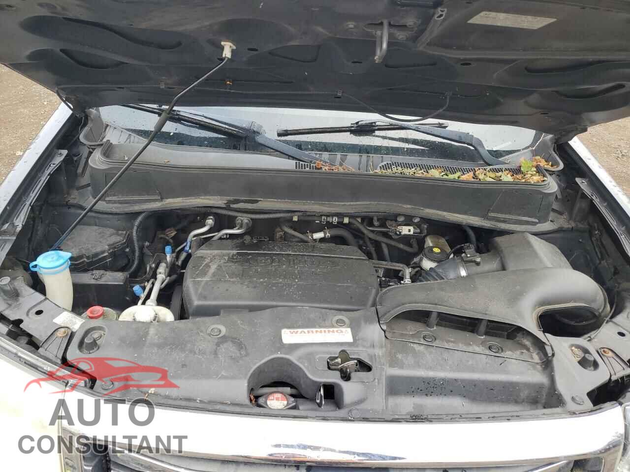 HONDA PILOT 2013 - 5FNYF4H95DB008727