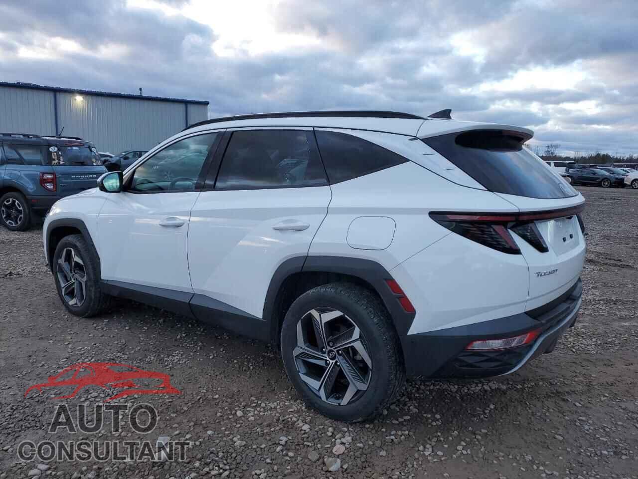 HYUNDAI TUCSON 2023 - 5NMJECAE7PH179357