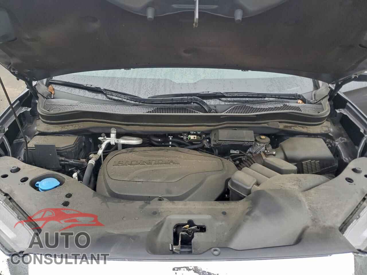 HONDA RIDGELINE 2024 - 5FPYK3F59RB018245