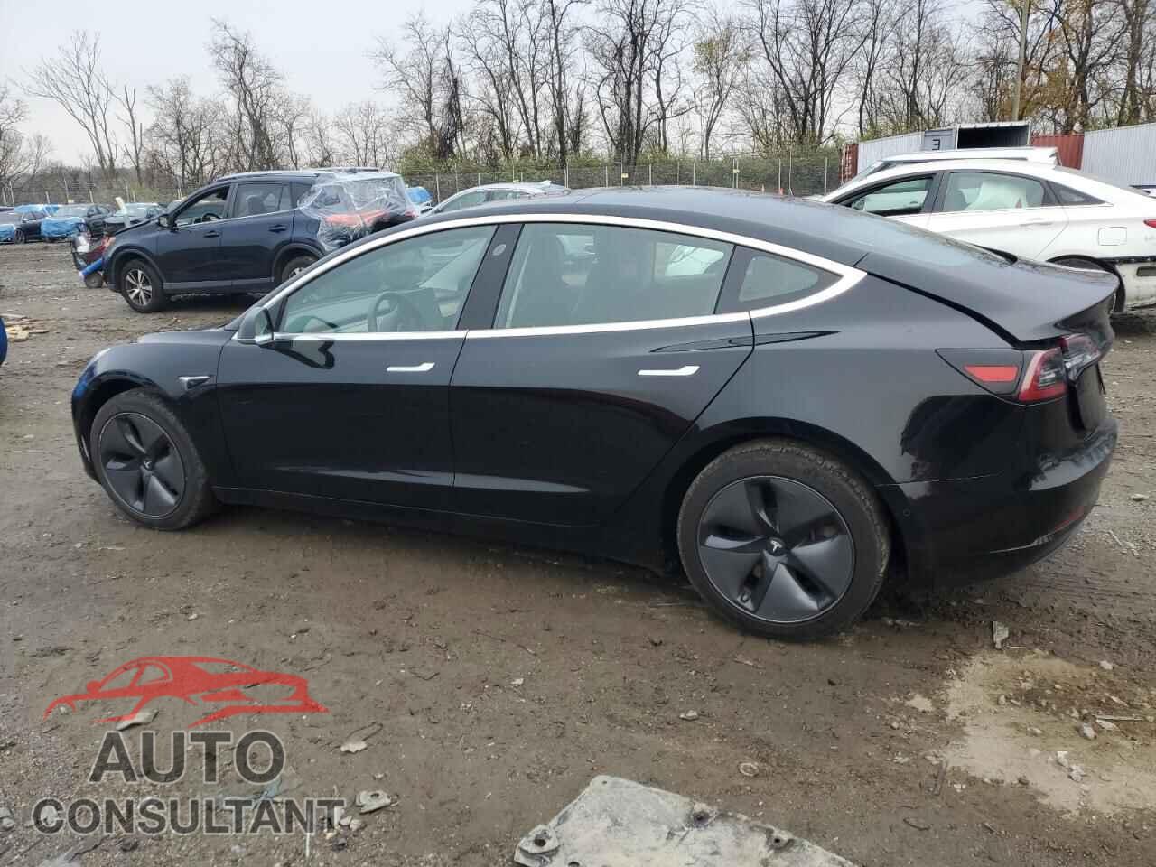 TESLA MODEL 3 2019 - 5YJ3E1EA1KF193012