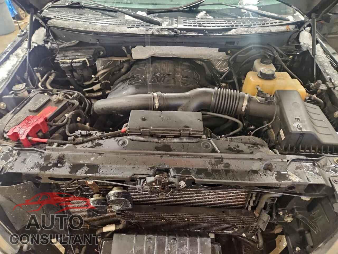 FORD F-150 2012 - 1FTFW1ETXCFB66514