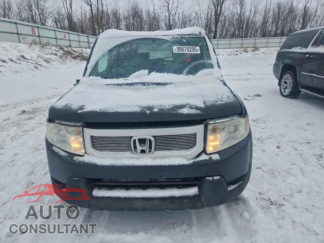 HONDA ELEMENT 2009 - 5J6YH28749L004325