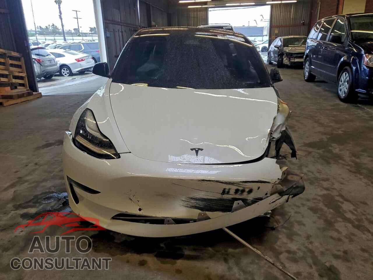 TESLA MODEL 3 2019 - 5YJ3E1EB6KF421904