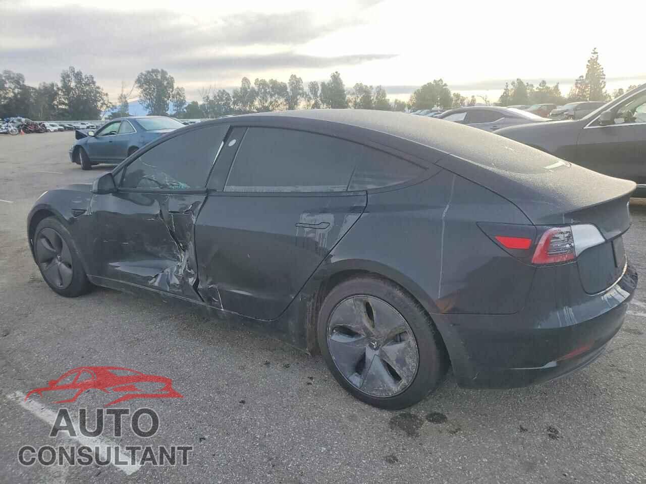 TESLA MODEL 3 2021 - 5YJ3E1EA3MF876459
