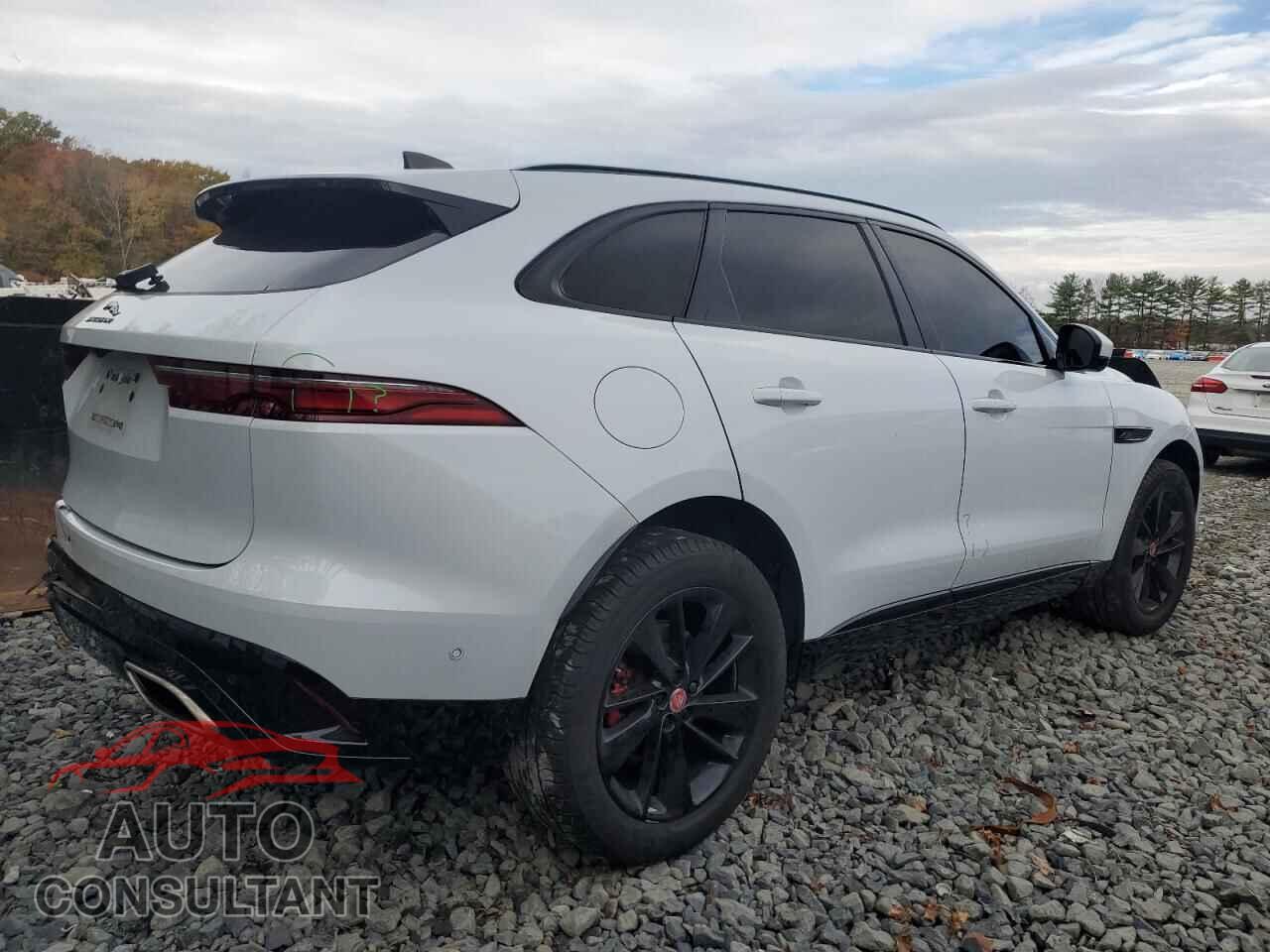 JAGUAR F-PACE 2021 - SADCJ2EU3MA666954