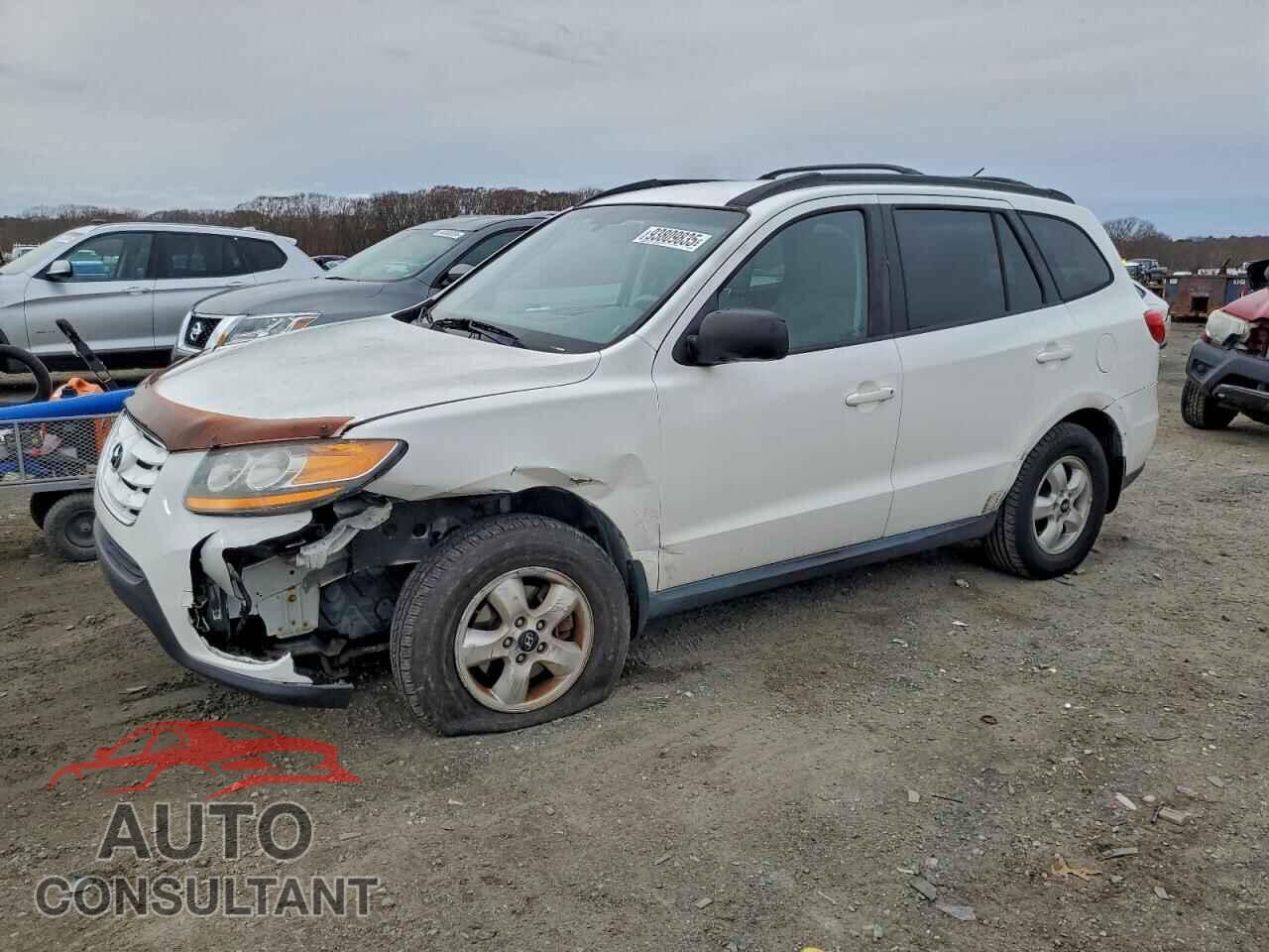 HYUNDAI SANTA FE 2010 - 5NMSGDAB8AH367368