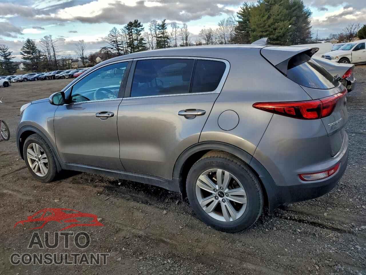 KIA SPORTAGE 2017 - KNDPM3AC2H7299264