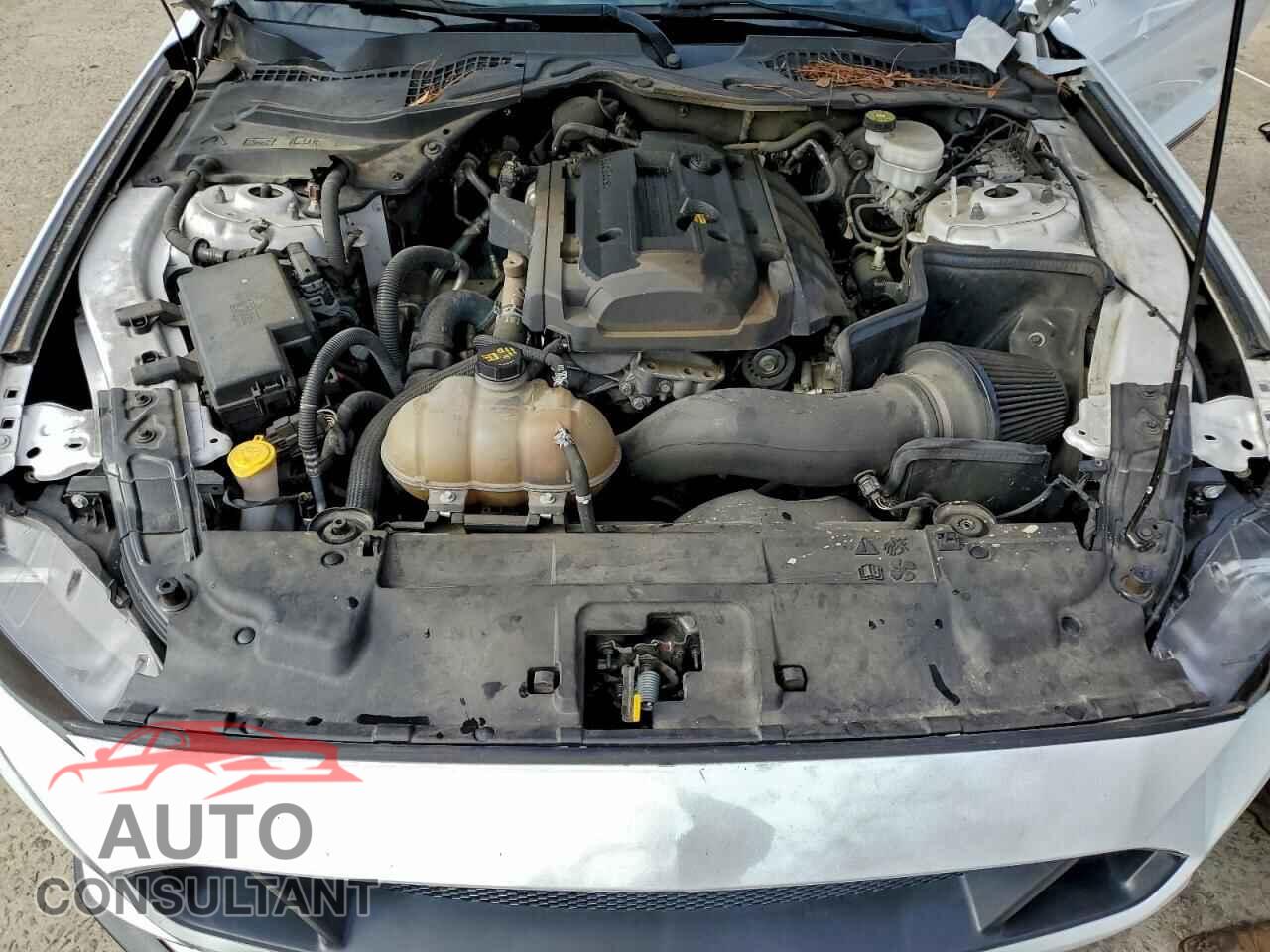 FORD ALL Models 2019 - 1FA6P8TH5K5203774