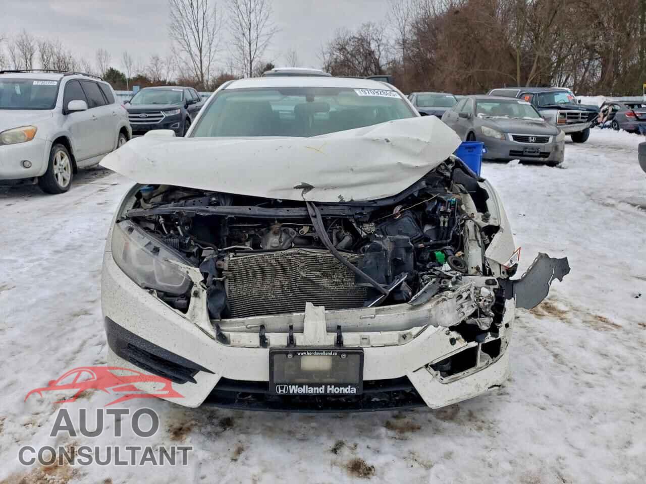 HONDA CIVIC 2017 - 2HGFC2F52HH034773