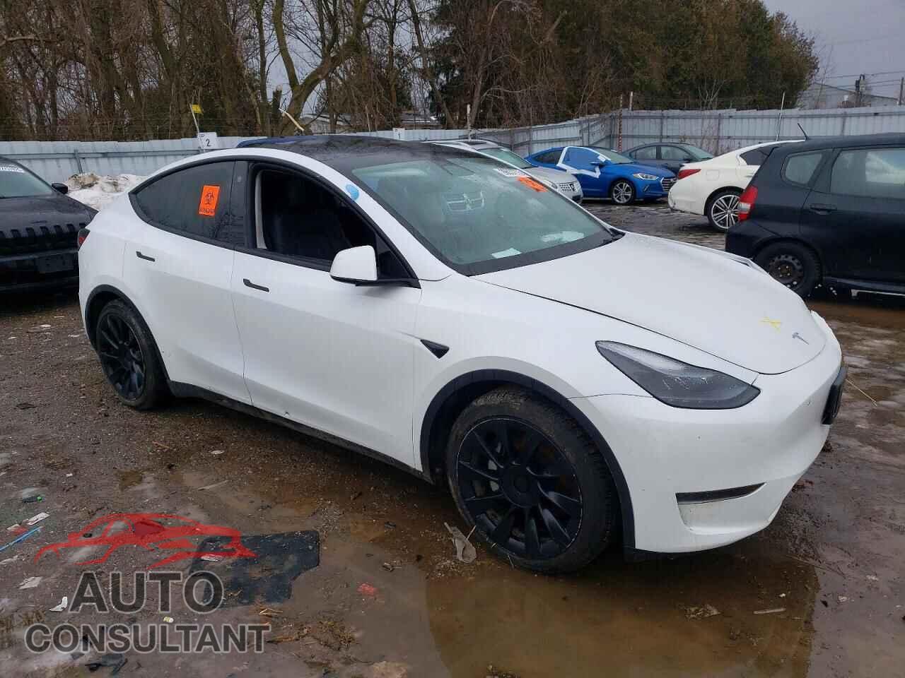 TESLA MODEL Y 2023 - LRWYGDFD0PC929997