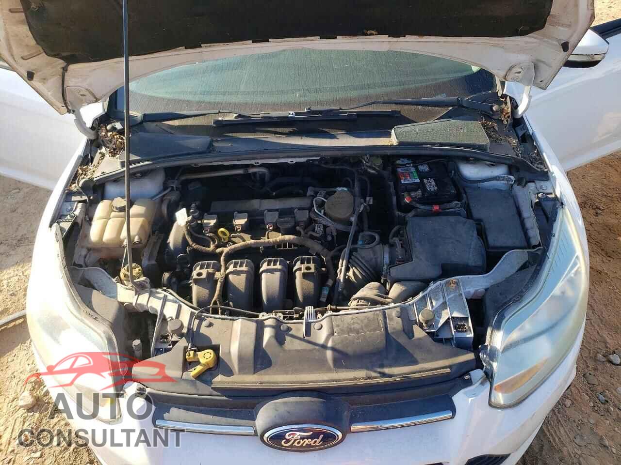 FORD FOCUS 2014 - 1FADP3F23EL140109