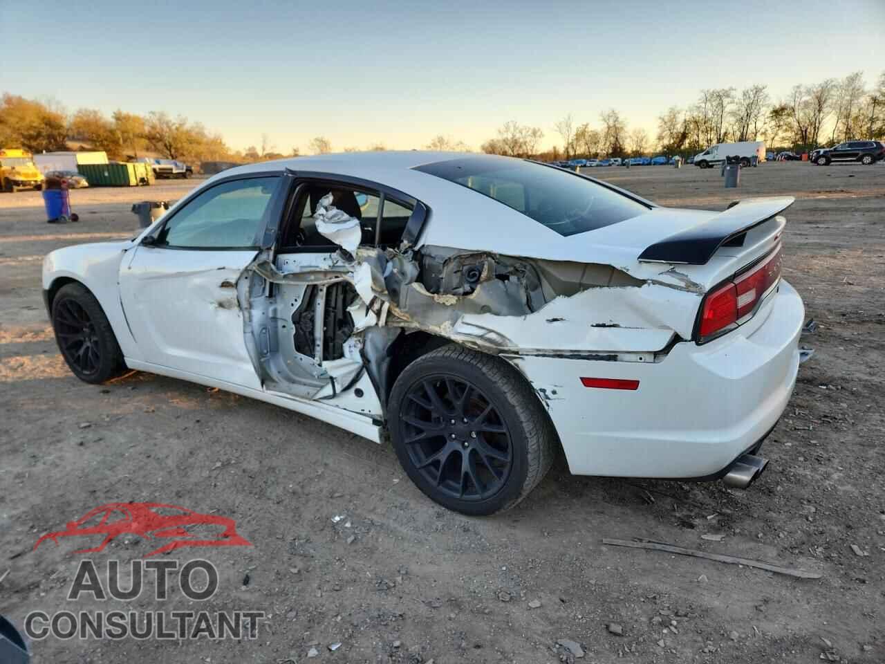 DODGE CHARGER 2013 - 2C3CDXAT0DH578317