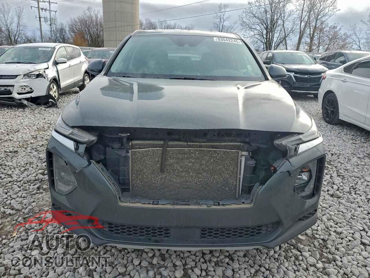 HYUNDAI SANTA FE 2019 - 5NMS2CAD2KH091281
