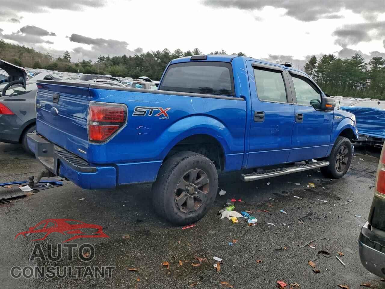 FORD F-150 2014 - 1FTFW1EF2EFC81587