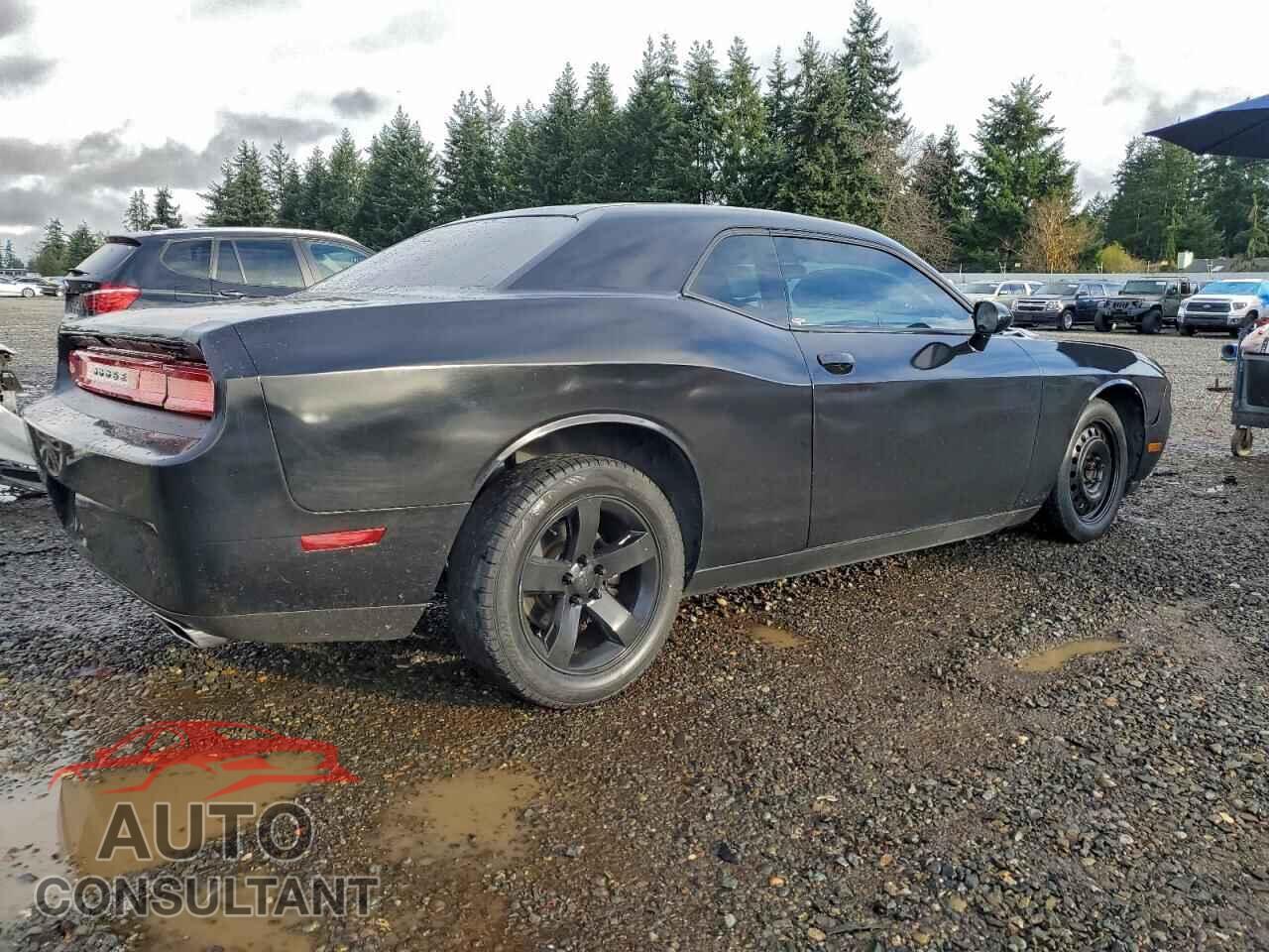 DODGE CHALLENGER 2013 - 2C3CDYAG3DH718689