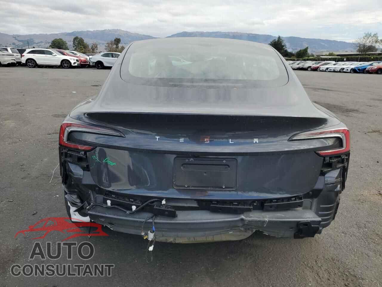TESLA MODEL 3 2024 - 5YJ3E1EA2RF742923