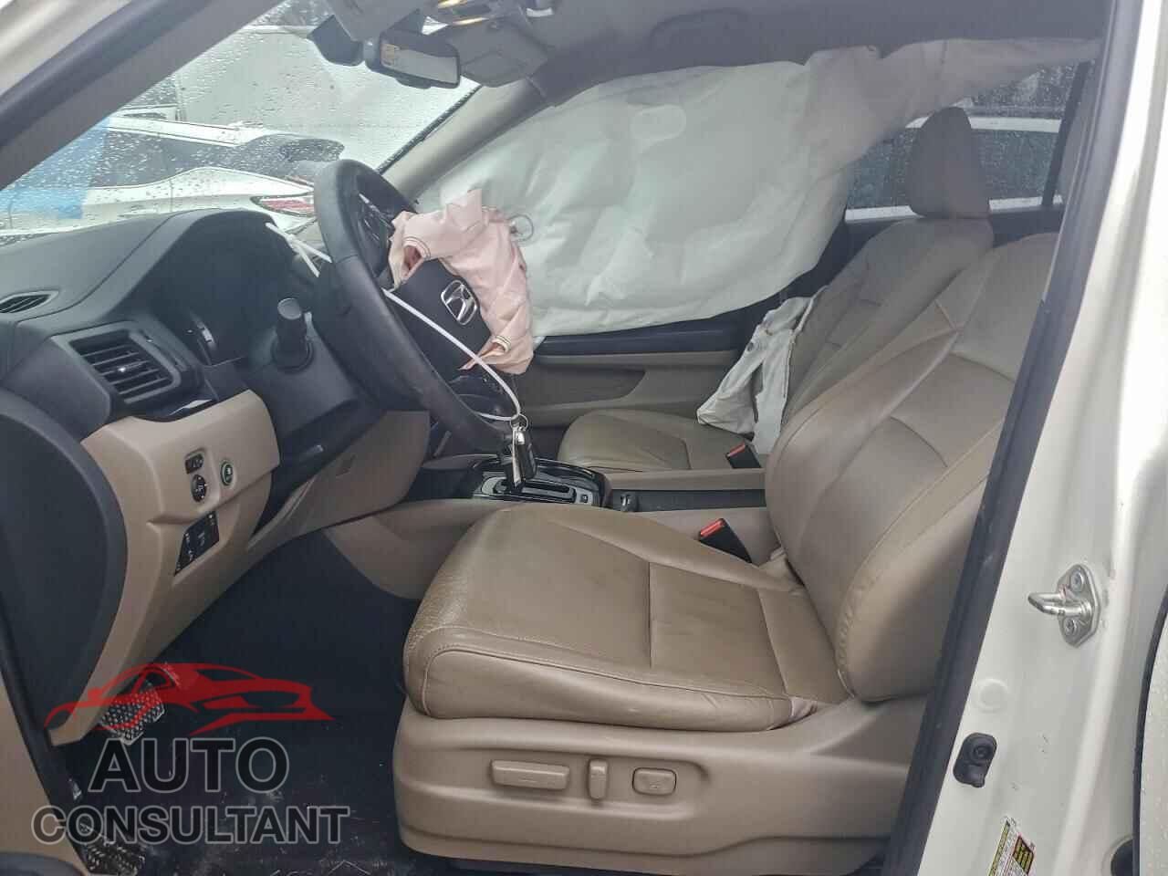 HONDA RIDGELINE 2019 - 5FPYK3F73KB013873